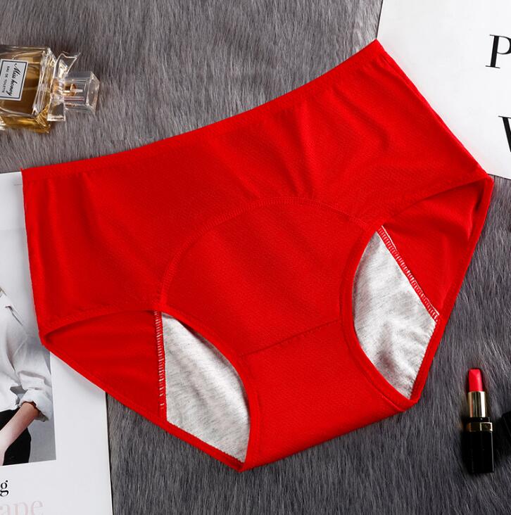Cotton Mesh Period Knickers