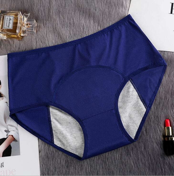 Cotton Mesh Period Knickers